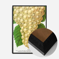 Niagara Grape Vintage Lithograph Print