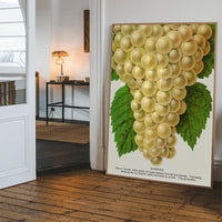 Niagara Grape Vintage Lithograph Print
