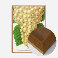 Niagara Grape Vintage Lithograph Print