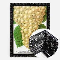 Niagara Grape Vintage Lithograph Print