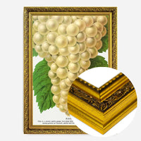 Niagara Grape Vintage Lithograph Print
