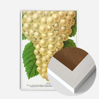 Niagara Grape Vintage Lithograph Print