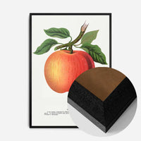 Gideon Apple Vintage Lithograph Print