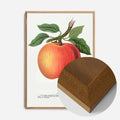 Oak Wood Frame