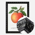 Black Ornate Frame