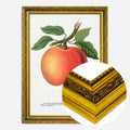 Gold Ornate Frame
