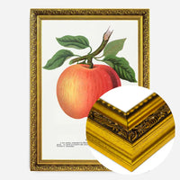 Gideon Apple Vintage Lithograph Print