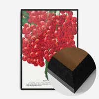Fay's Prolific Currant Vintage Lithograph Print