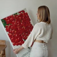 Fay's Prolific Currant Vintage Lithograph Print