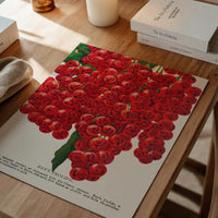 Fay's Prolific Currant Vintage Lithograph Print