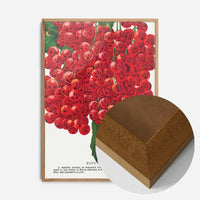 Fay's Prolific Currant Vintage Lithograph Print