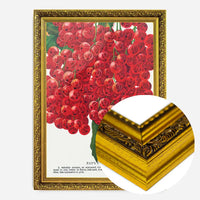 Fay's Prolific Currant Vintage Lithograph Print