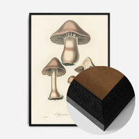 Vintage Mushrooms Print - Agaricus Bulbosus