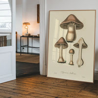 Vintage Mushrooms Print - Agaricus Bulbosus