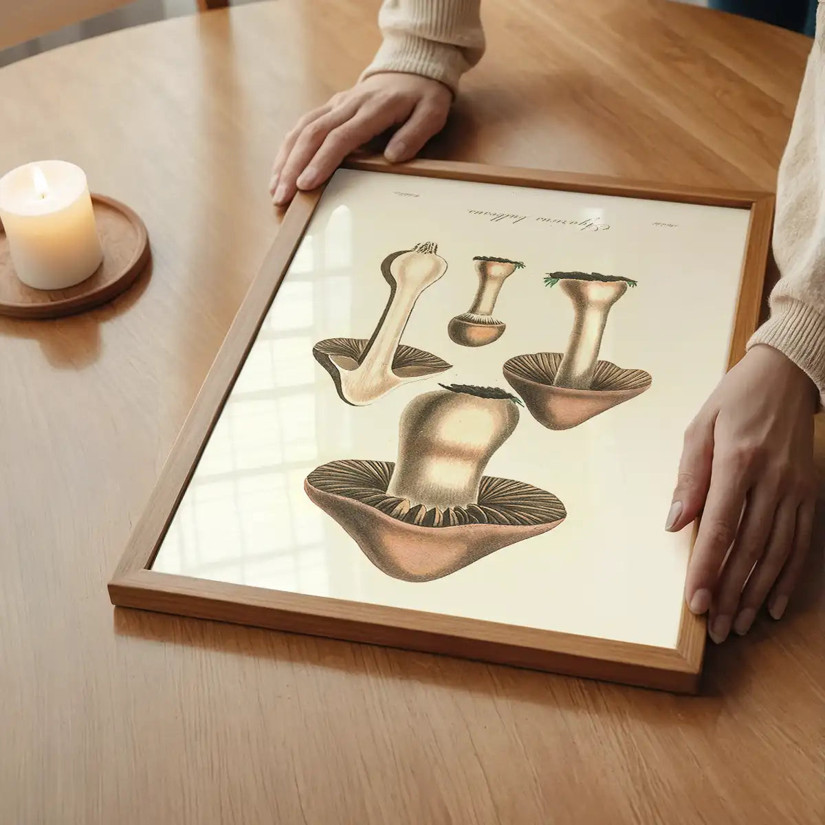Vintage Mushrooms Print - Agaricus Bulbosus