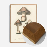 Vintage Mushrooms Print - Agaricus Bulbosus