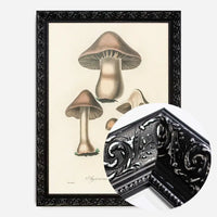 Vintage Mushrooms Print - Agaricus Bulbosus