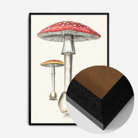 Vintage Red Mushrooms Illustration