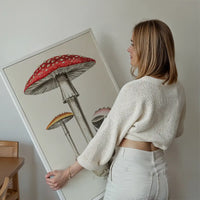 Vintage Red Mushrooms Illustration