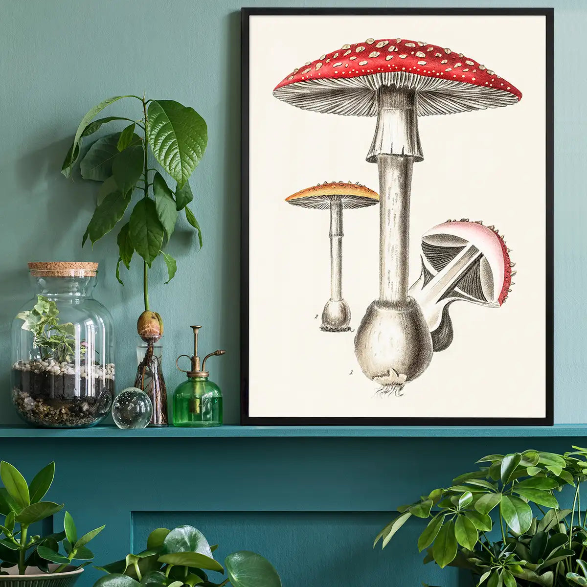 Vintage Red Mushrooms Illustration