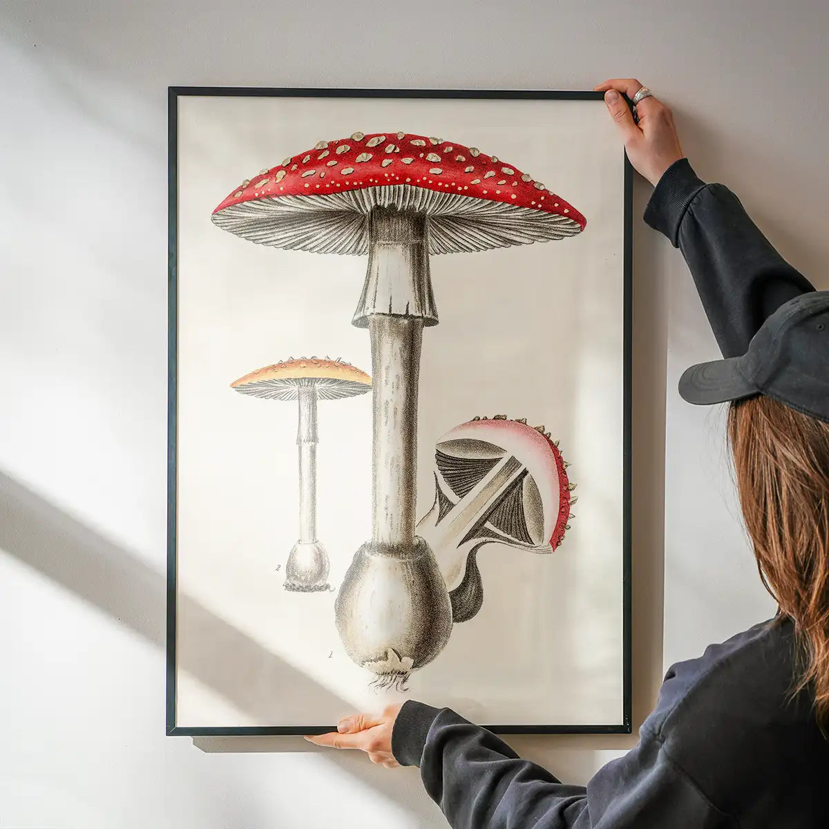 Vintage Red Mushrooms Illustration