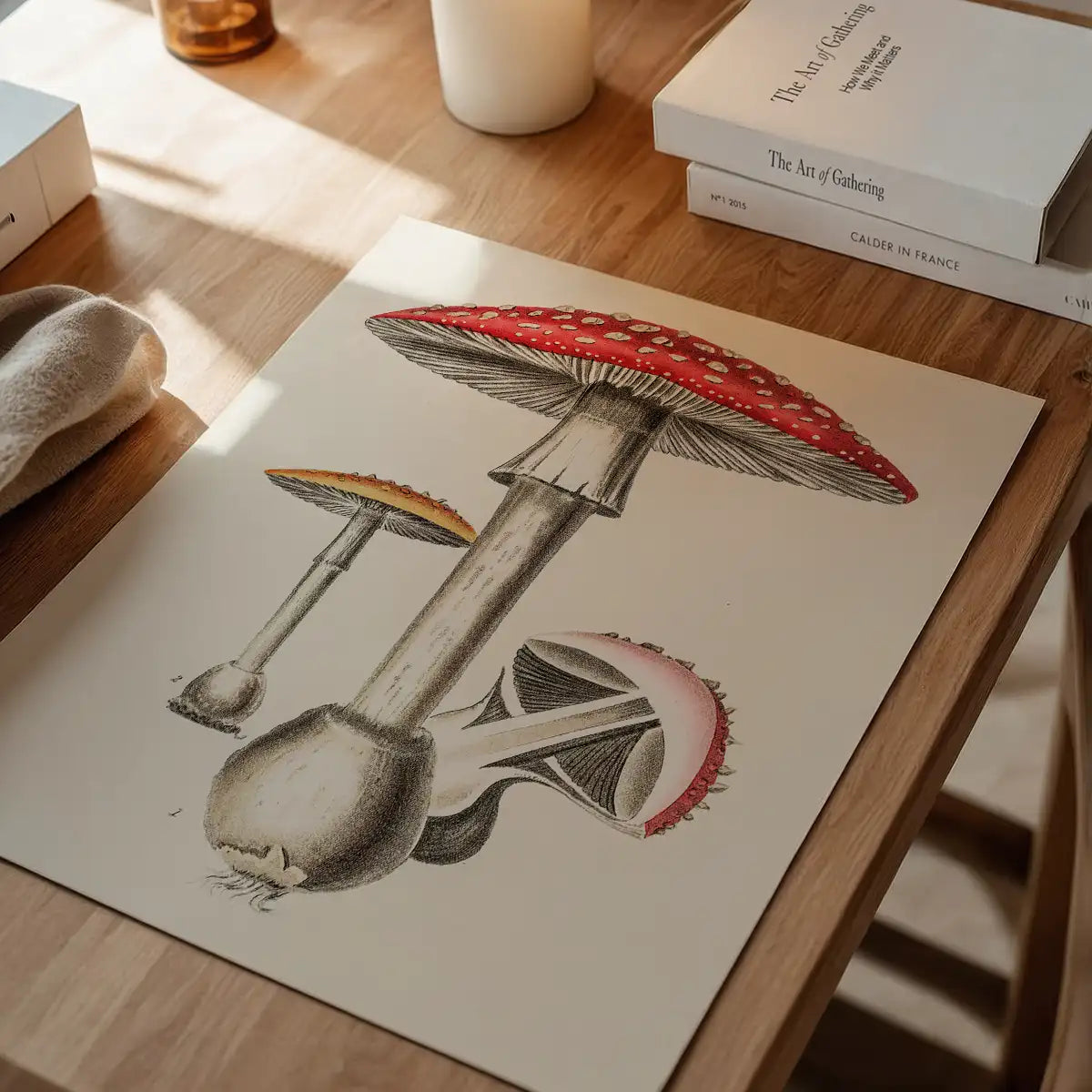 Vintage Red Mushrooms Illustration