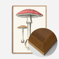 Vintage Red Mushrooms Illustration