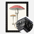 Black Ornate Frame