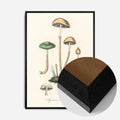 Black Wood Frame