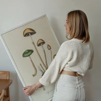 Vintage Mushrooms Print - Agaricus Semiglobatus