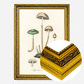 Gold Ornate Frame
