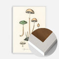 White Wood Frame