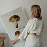 Vintage Champignons Botanique Print