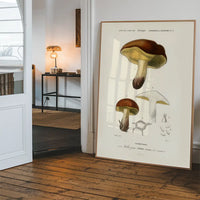 Vintage Champignons Botanique Print