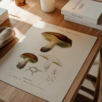 Vintage Champignons Botanique Print