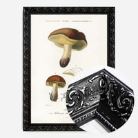 Vintage Champignons Botanique Print
