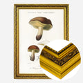 Gold Ornate Frame