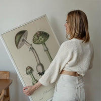 Vintage Mushrooms Green Print - Amanita Muscaria Prar