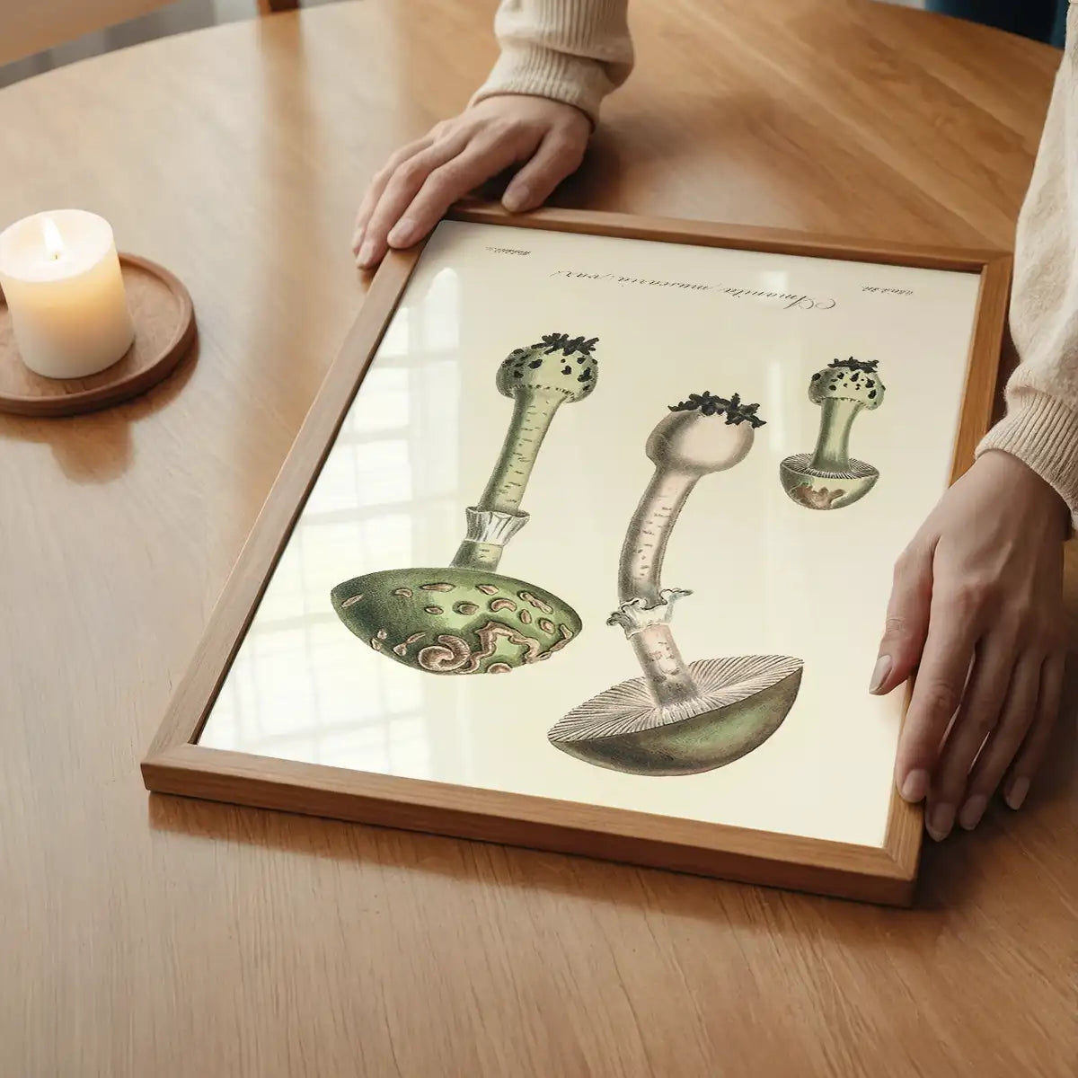 Vintage Mushrooms Green Print - Amanita Muscaria Prar