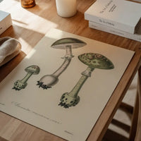 Vintage Mushrooms Green Print - Amanita Muscaria Prar