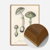 Vintage Mushrooms Green Print - Amanita Muscaria Prar