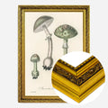 Gold Ornate Frame