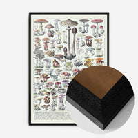 Vintage Mushrooms Chart Poster 1
