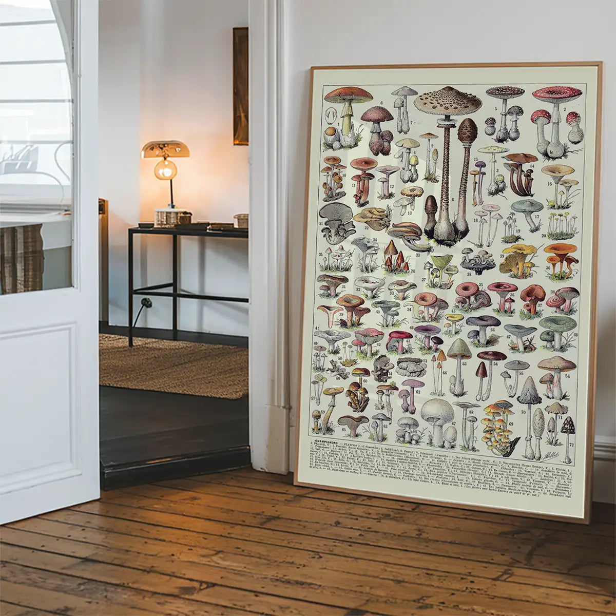 Vintage Mushrooms Chart Poster 1