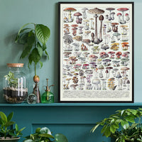 Vintage Mushrooms Chart Poster 1