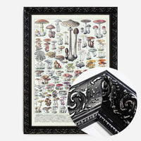 Vintage Mushrooms Chart Poster 1