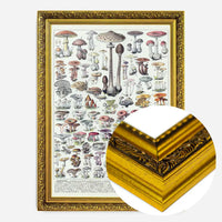 Vintage Mushrooms Chart Poster 1