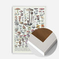 White Wood Frame