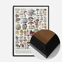 Vintage Mushrooms Chart Poster 2
