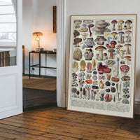 Vintage Mushrooms Chart Poster 2